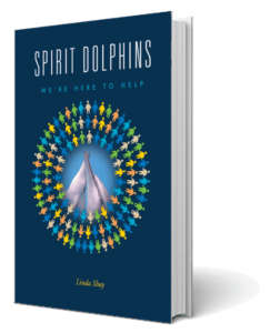 Spirit Dolphin ebook cover image
