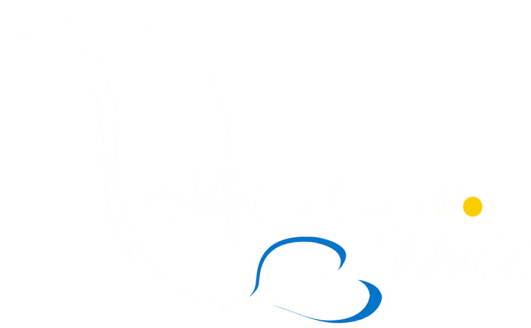 Dolphin Heart World